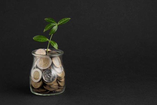 Photo plant growing out of jar of coins