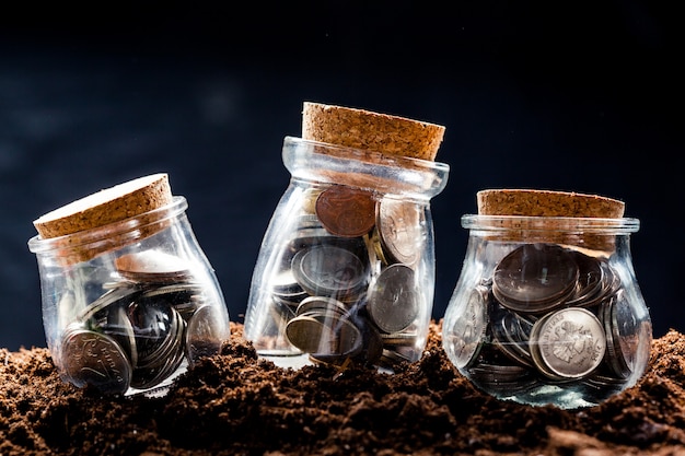 Plant Growing In Savings Coins - Investment And Interest Concept