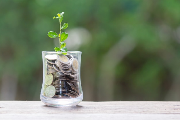 貯蓄で成長する植物コイン - 貯金コンセプト