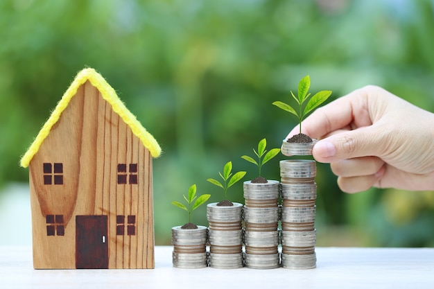 Plant growing on stack of coins money and model house on natural green