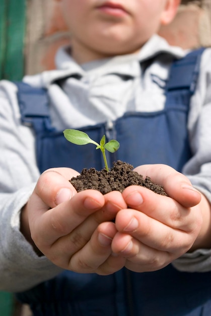 Plant in hands