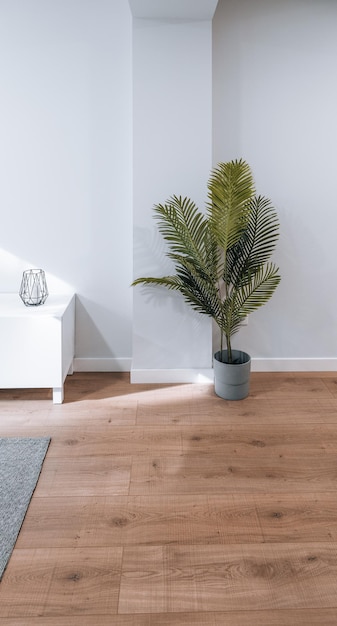 Plant in een appartement verticaal