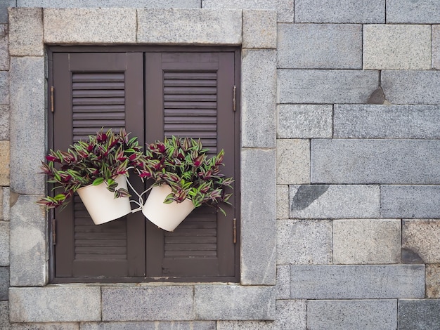 Foto plant in pot op houten venster