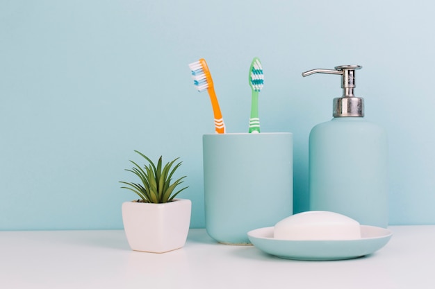 Plant near soap and toothbrushes