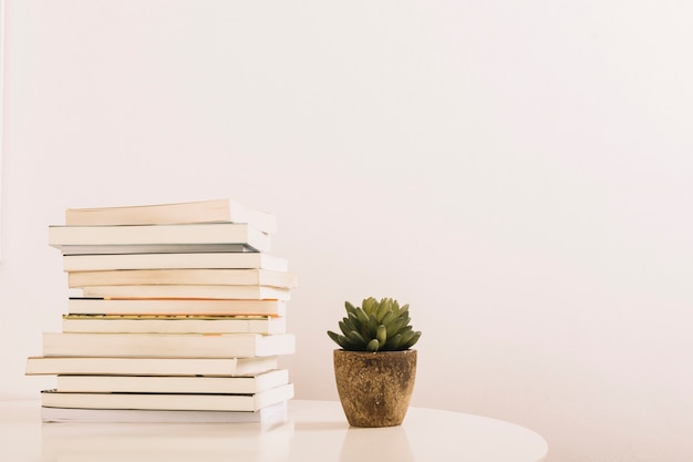 plant near stack of books