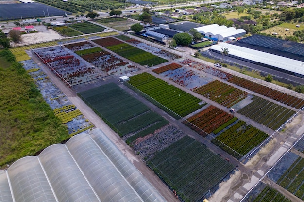 Photo the plant nursery is located in the middle of the picture.