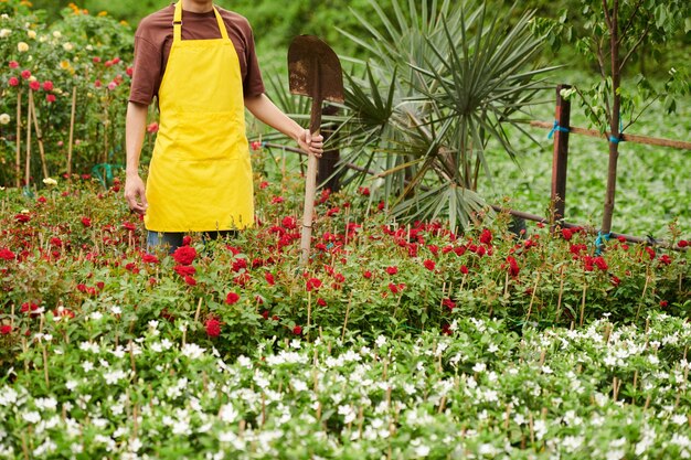 スペードを持つ植物苗木の所有者