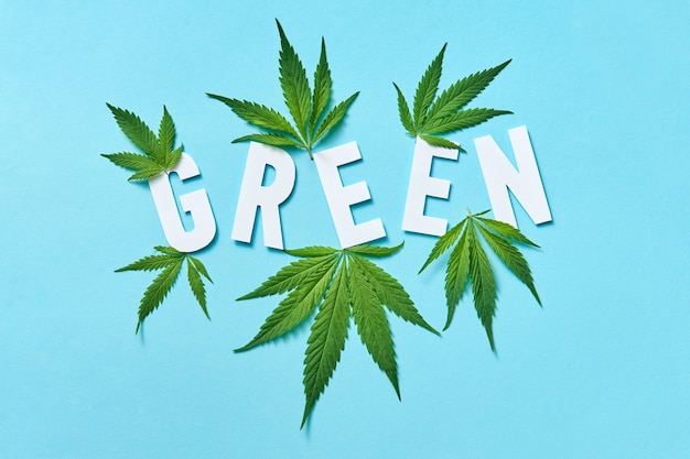 Plant pattern with leaf of cannabis and white paper letters Green on a light blue background.