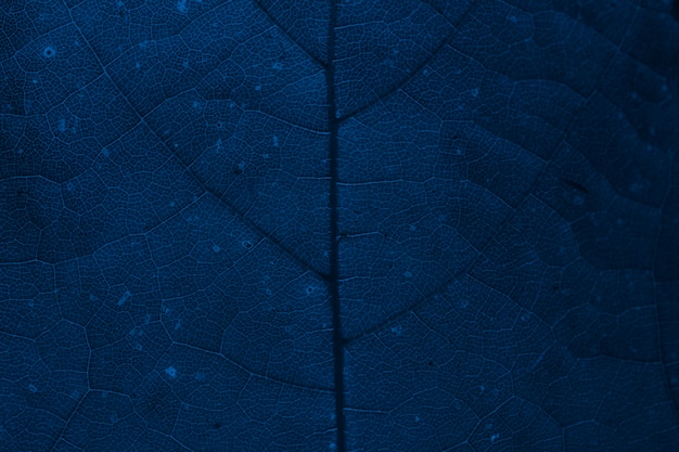 Plant patterned dark blue background