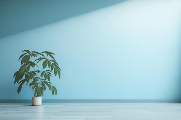 A plant in a pot on a blue wall