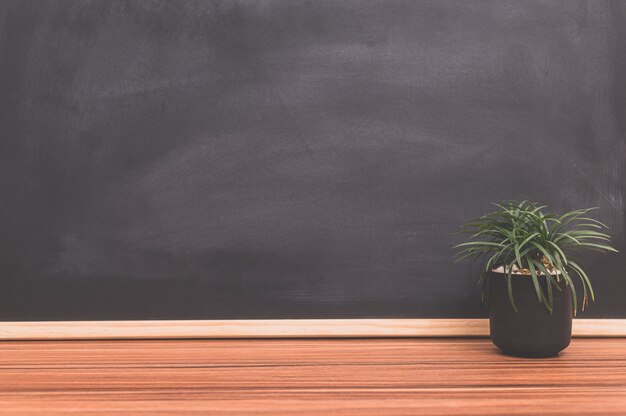 Plant pot on the desk Background blackboard Love tree concept