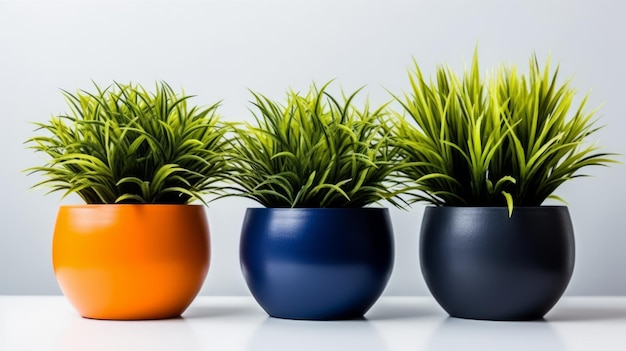 Plant pot isolated