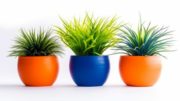 Plant pot isolated