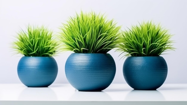 Plant pot isolated