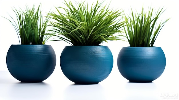 Plant pot isolated