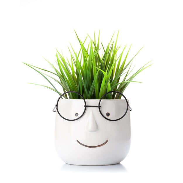 Plant in pot with glasses