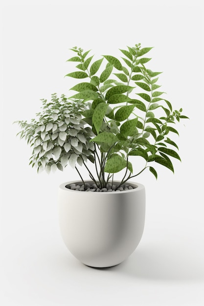 A plant in a pot with leaves