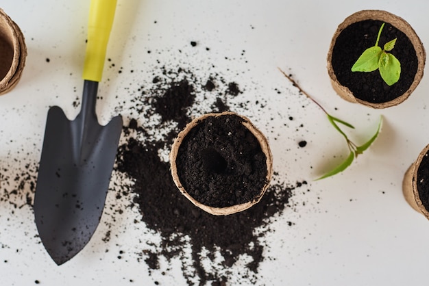 Plant in pot with soil on table