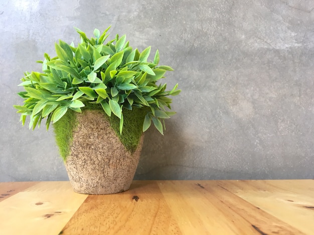 Foto pianta in vaso con pavimento in legno