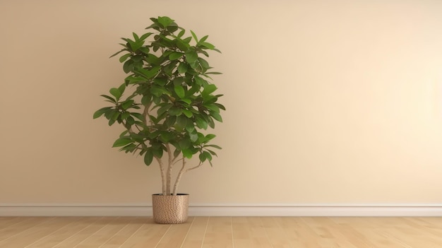 A plant in a pot on a wooden floor