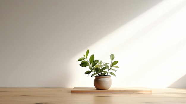 A plant in a pot on a wooden table