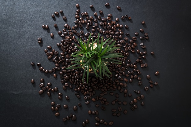 Plant pots and coffee beans on the desk top view