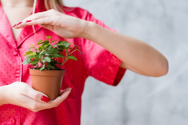 Plant protection concept. Woman covering houseplant with hand.