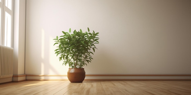 A plant in a room with a white wall