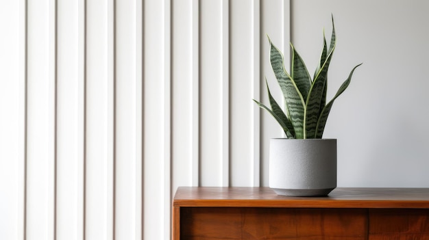 A plant on a shelf with a white vertical blinds.