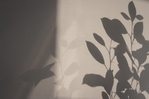 Plant silhouette on the wall Leaves shadow on wall Abstract floral background Futuristic pattern