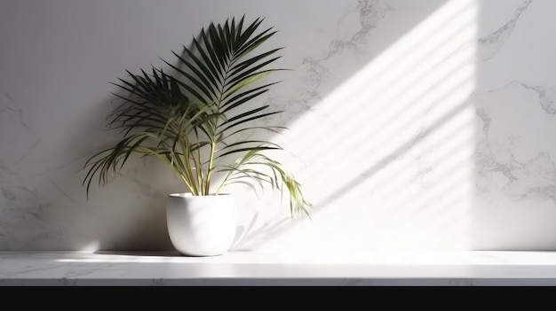 A plant sits on a white counter in front of a window with the sun shining through the blinds.