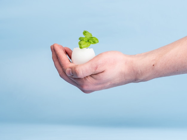 男の手の青い背景に卵殻の芽を植えます。エコロジカルオーガニック製品、植物栽培。