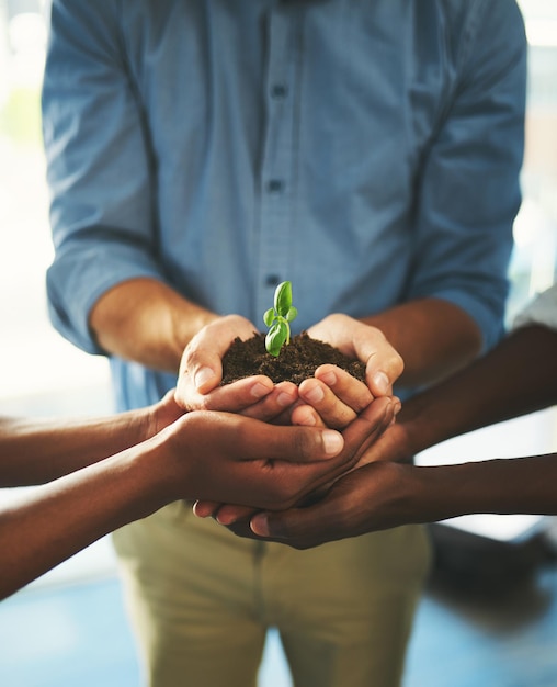 Foto sostenibilità e crescita delle piante con le mani di uomini d'affari per il lavoro di squadra terra o ambiente supporto alla collaborazione e investimento con dipendenti e suolo per future partnership o comunità