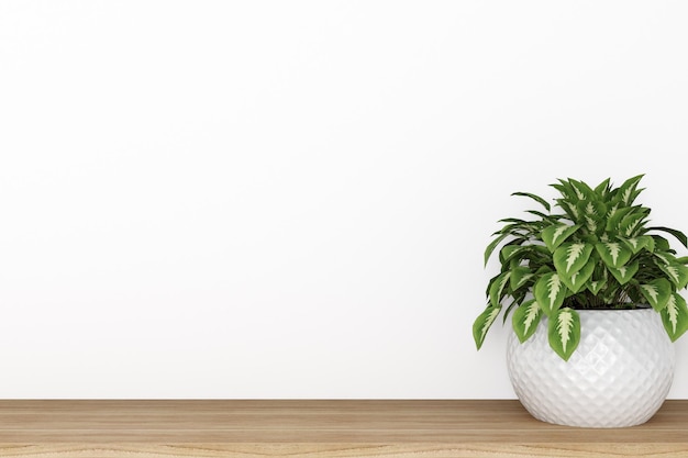 白い壁の前にあるテーブル上の植物
