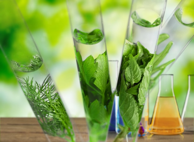 Plant in test tube isolated on background