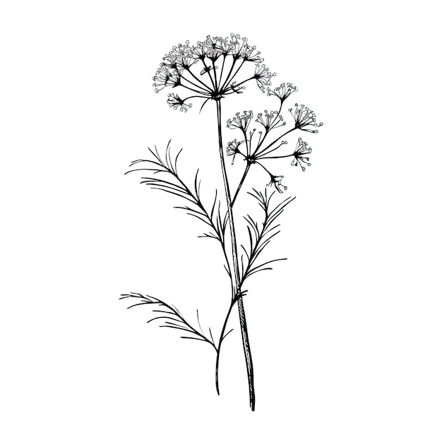 Photo plant valerian ai generated