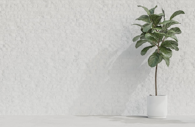 Plant on white brick wall background minimalist style