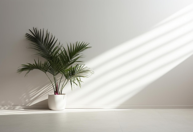 a plant in a white pot is in front of a white wall.