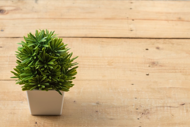 Photo plant in white pot on wooden table. left side with copy space