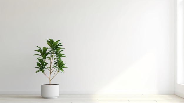 a plant in a white pot on a wooden table.