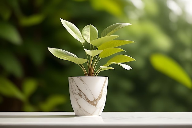 a plant in a white vase with a green plant in it