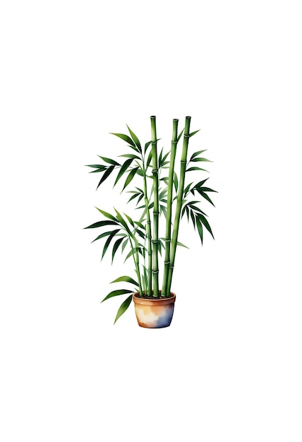 Foto una pianta con foglie verdi in un vaso