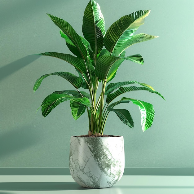 a plant with green leaves in a white pot on a table