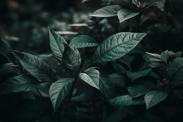 A plant with green leaves and the word love on it