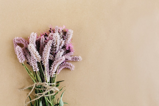 Photo plant with lilac flowers