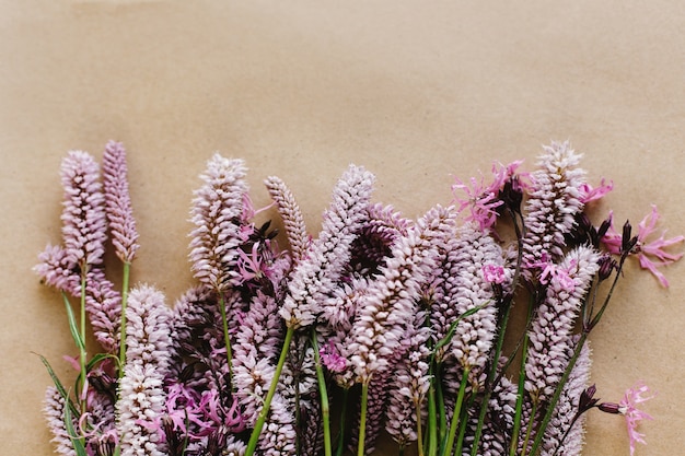 Plant with pink flowers