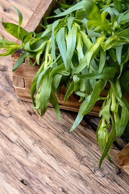 Plant of wormwood tarragon