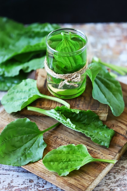 Plantain leaf drink