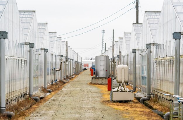 Plantation Greenhouse  hydroponic Organic farm walkway