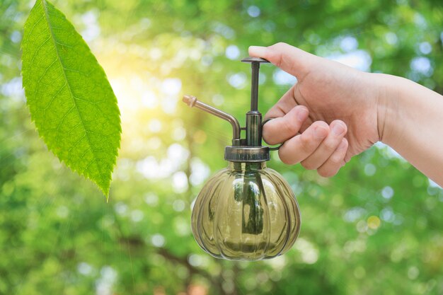 自然なエコアースケアのための新鮮な緑の植物の木に水をまくプランテーション手